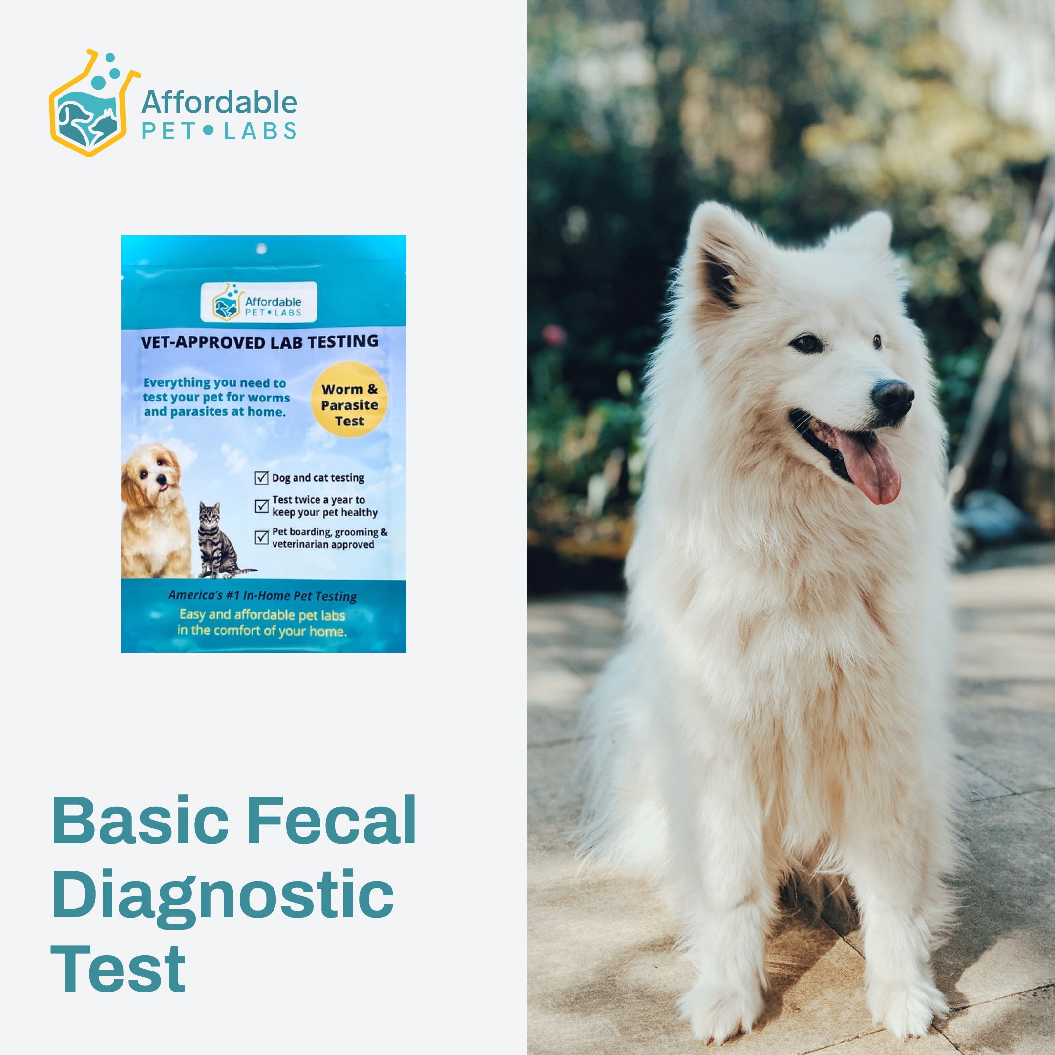 Basic Fecal Test for Dogs Affordable Pet Labs - Main Image