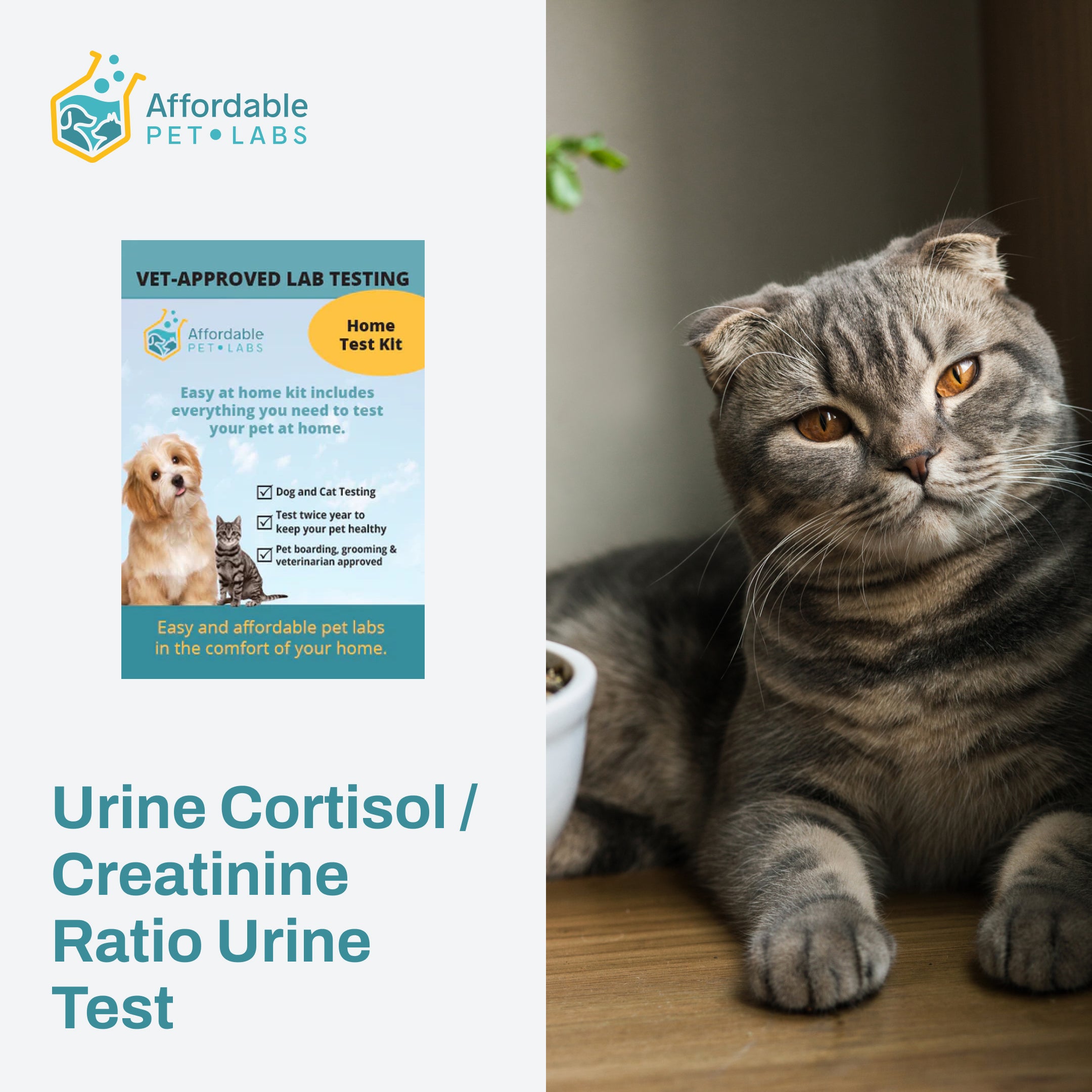 Easy Home Kit Affordable Pet Labs Urine Cortisol / Creatinine Ratio U