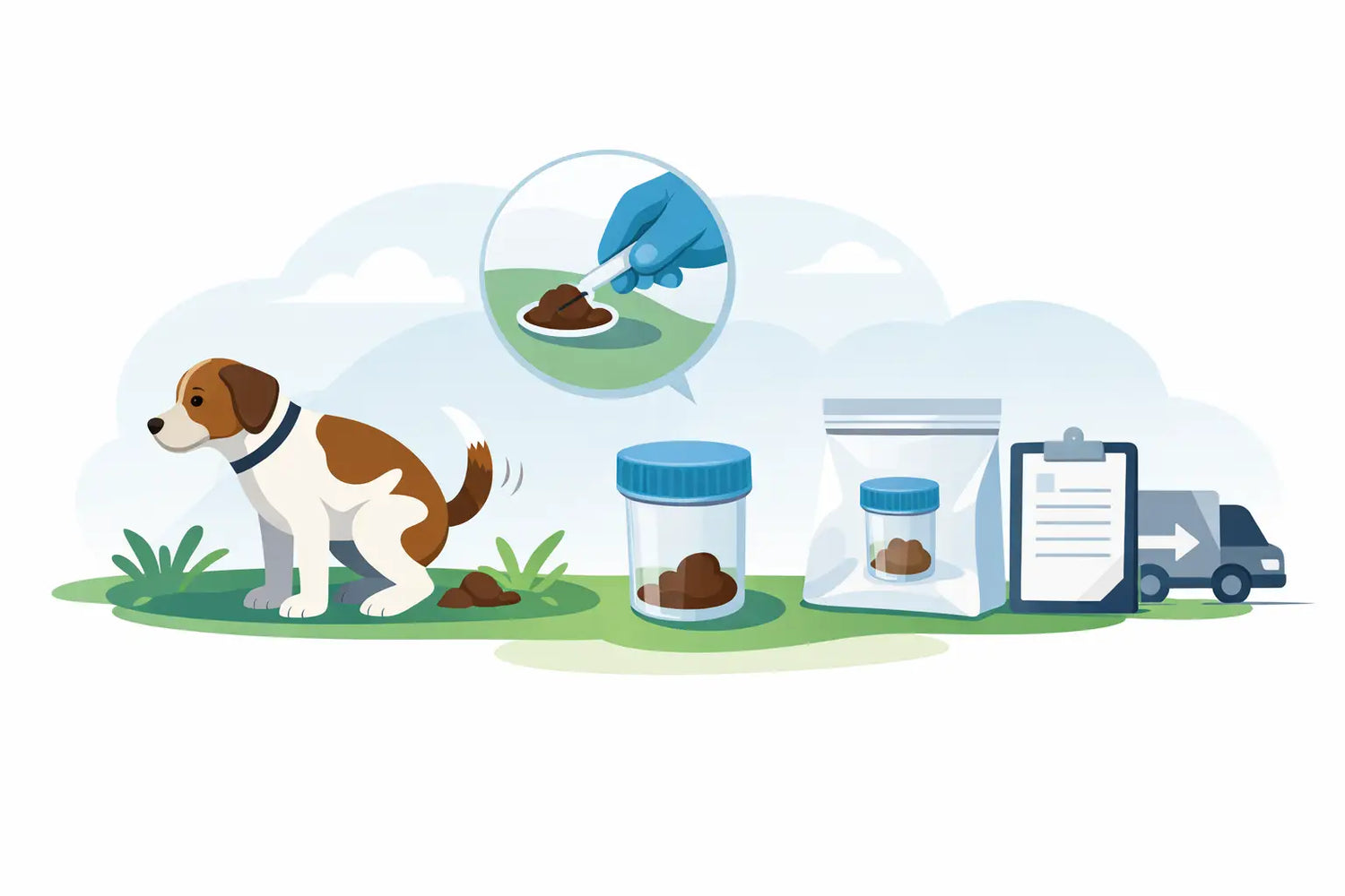 How to Collect Dog Stool Sample the Right Way – Affordable Pet Labs
