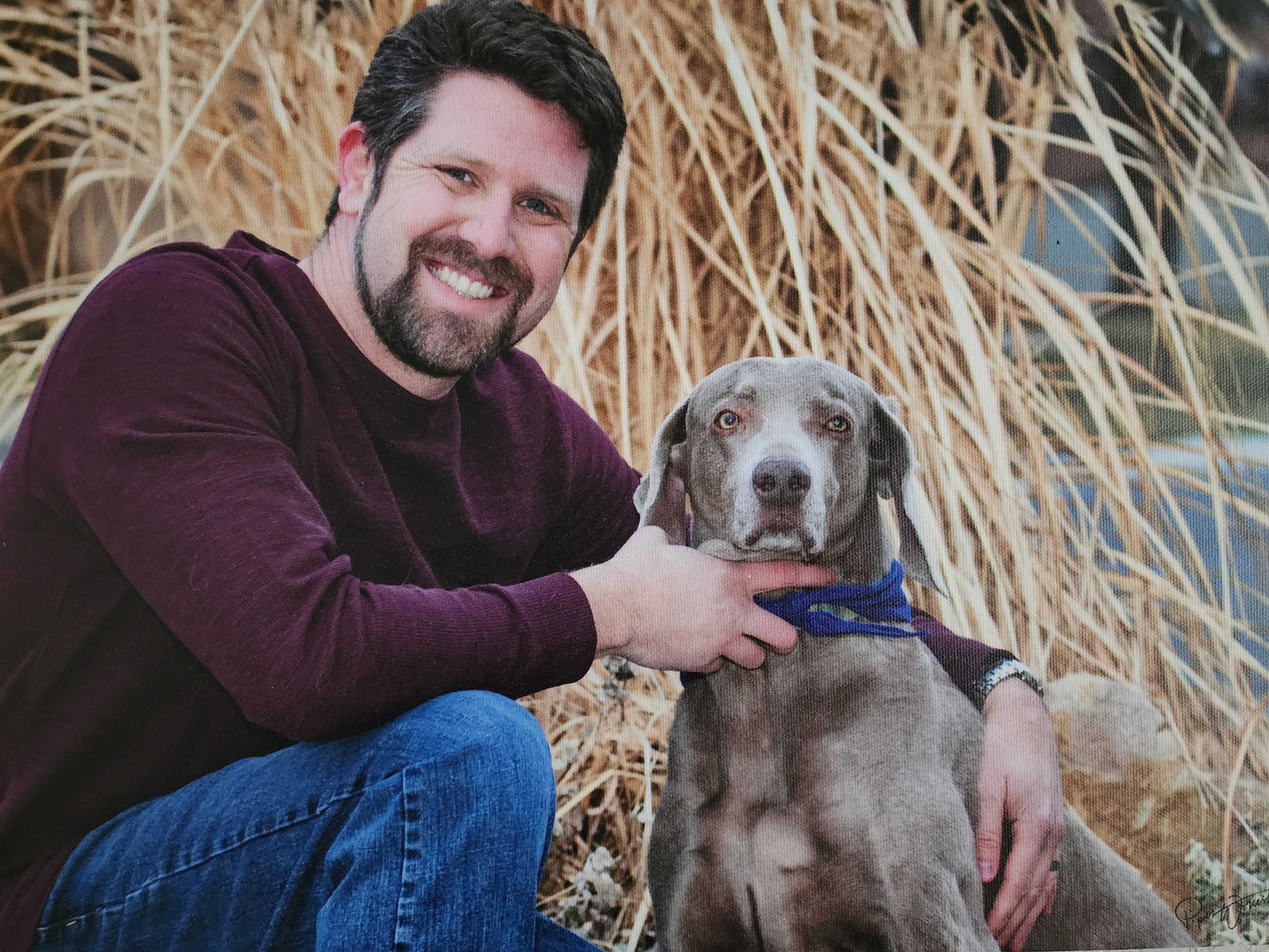 Affordable Pet Labs Launches Nationwide Effort to Test 1 Million Pets for Preventable Disease