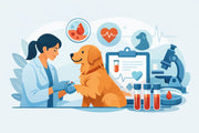Your Guide to Dog Wellness Blood Testing