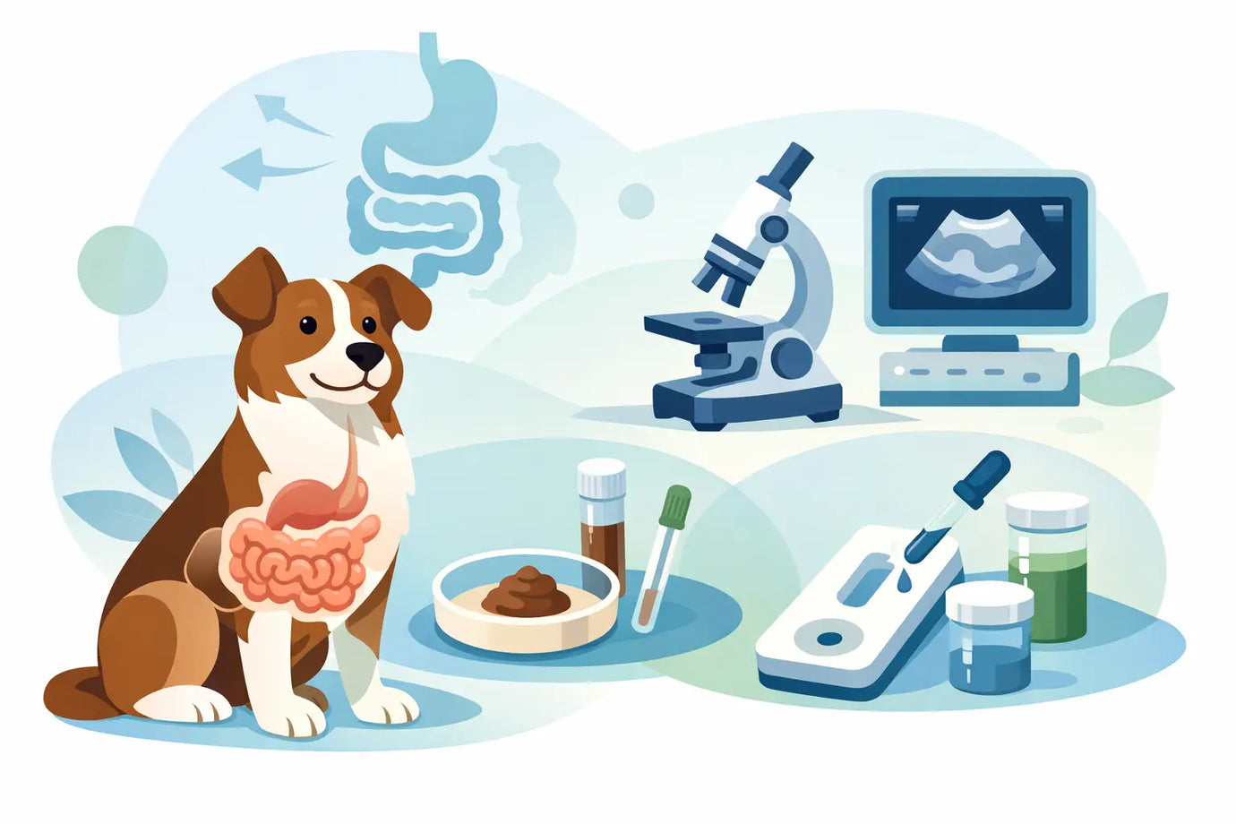 Dog Digestive Testing Options Explained