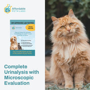 Fluffy orange cat beside an Affordable Pet Labs at-home urinalysis kit