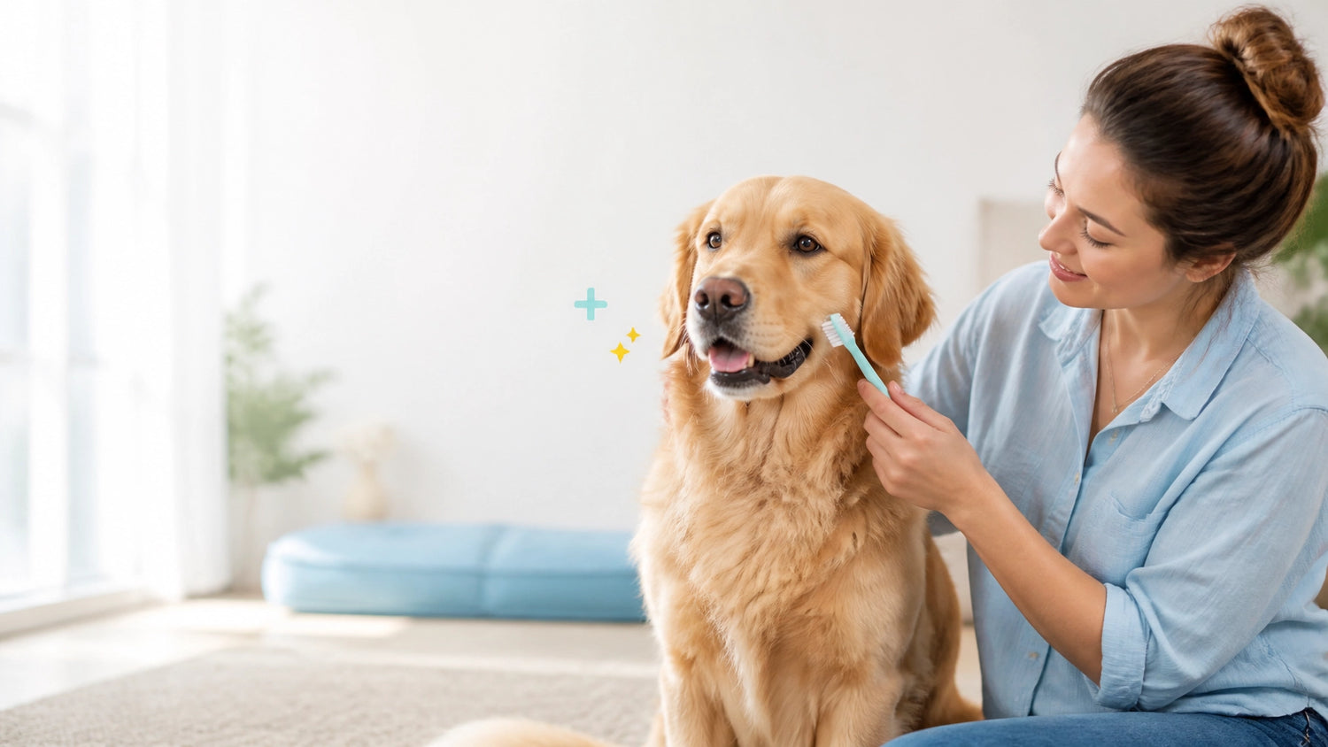Golden retriever receiving gentle preventive dental care at home