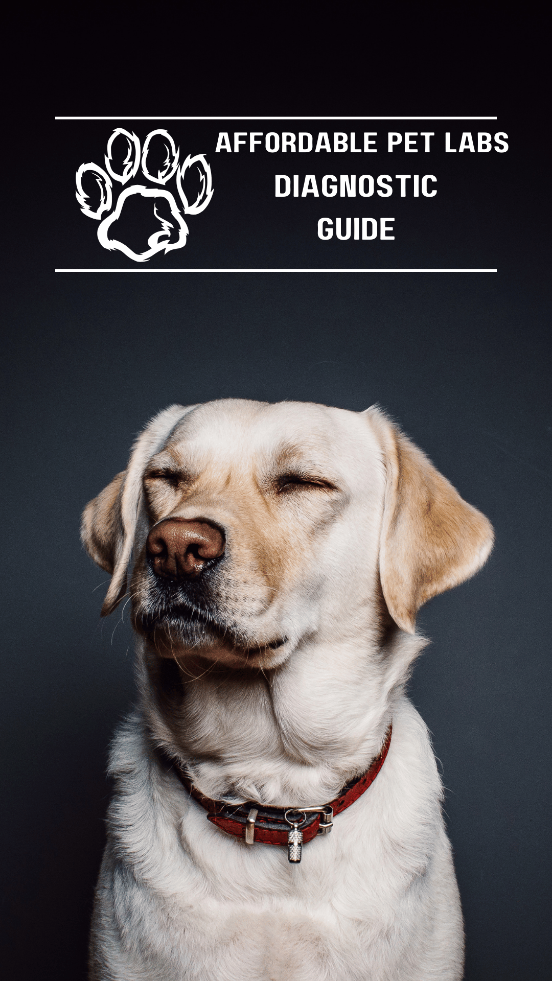 Introducing Your Guide to Understanding Pet Health: Navigating Lab Results with Confidence