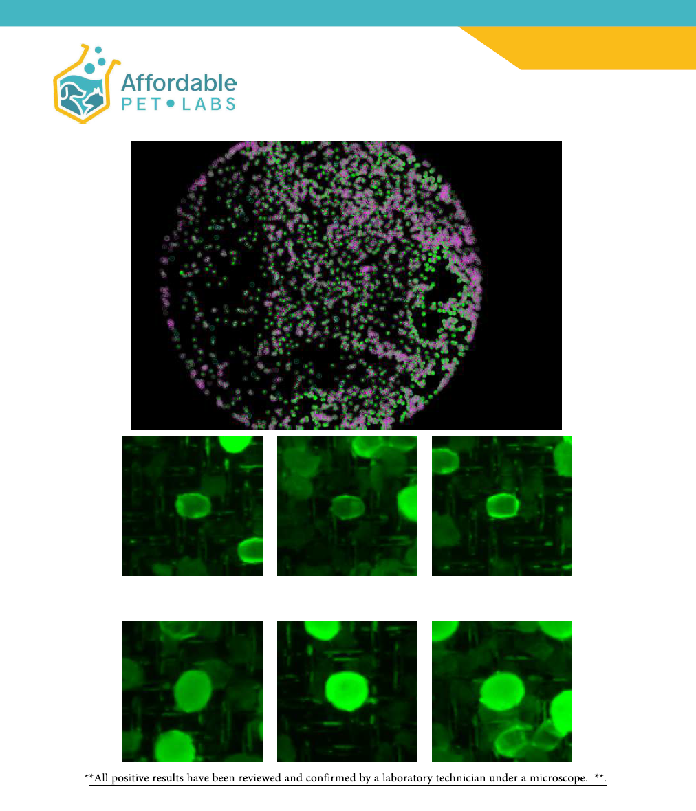 Introducing the Nationwide Pet Parasite Detection Initiative