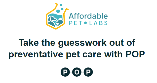 Introducing POP-Insights: Personalized Health Recommendations for Your Dog