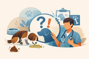 When Dog Vomiting and Diarrhea Need a Vet