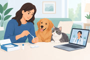 Pet Lab Near Me: Test Your Pet From Home