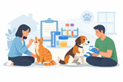 Your Guide to Home Pet Sample Collection