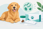 Dog Fecal Test Kit for Easier Parasite Checks