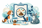 What Does a Pet Fecal Test Show?