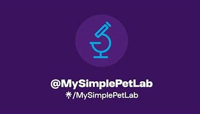 Left in the Dark? We’ll Help Process Your Pet’s Health Test!
