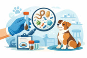When Should Dogs Get Fecal Tests?