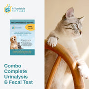 Relaxed cat beside an Affordable Pet Labs at-home testing kit