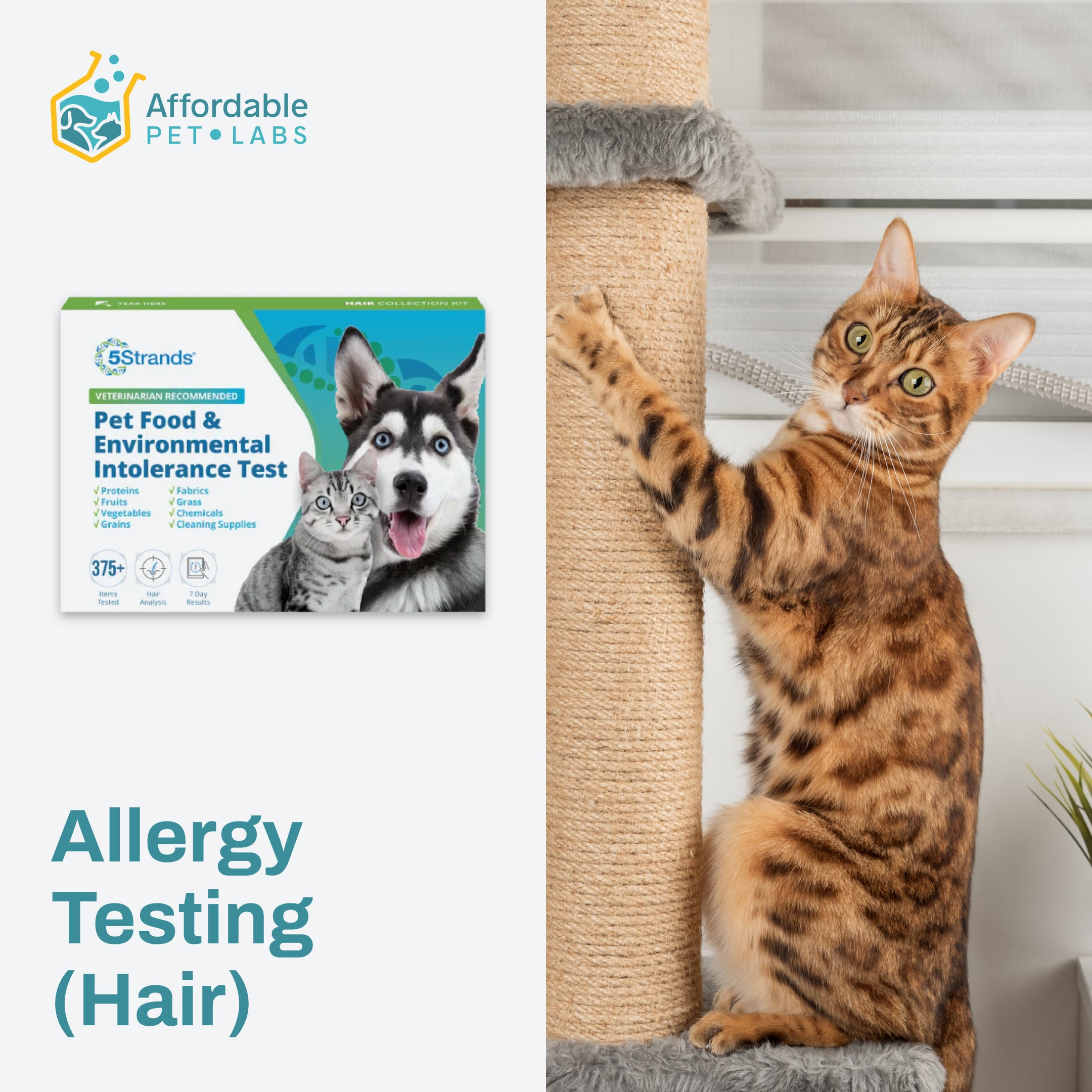 Easy Home Collection Kit Allergy Testing (Hair) Cats
