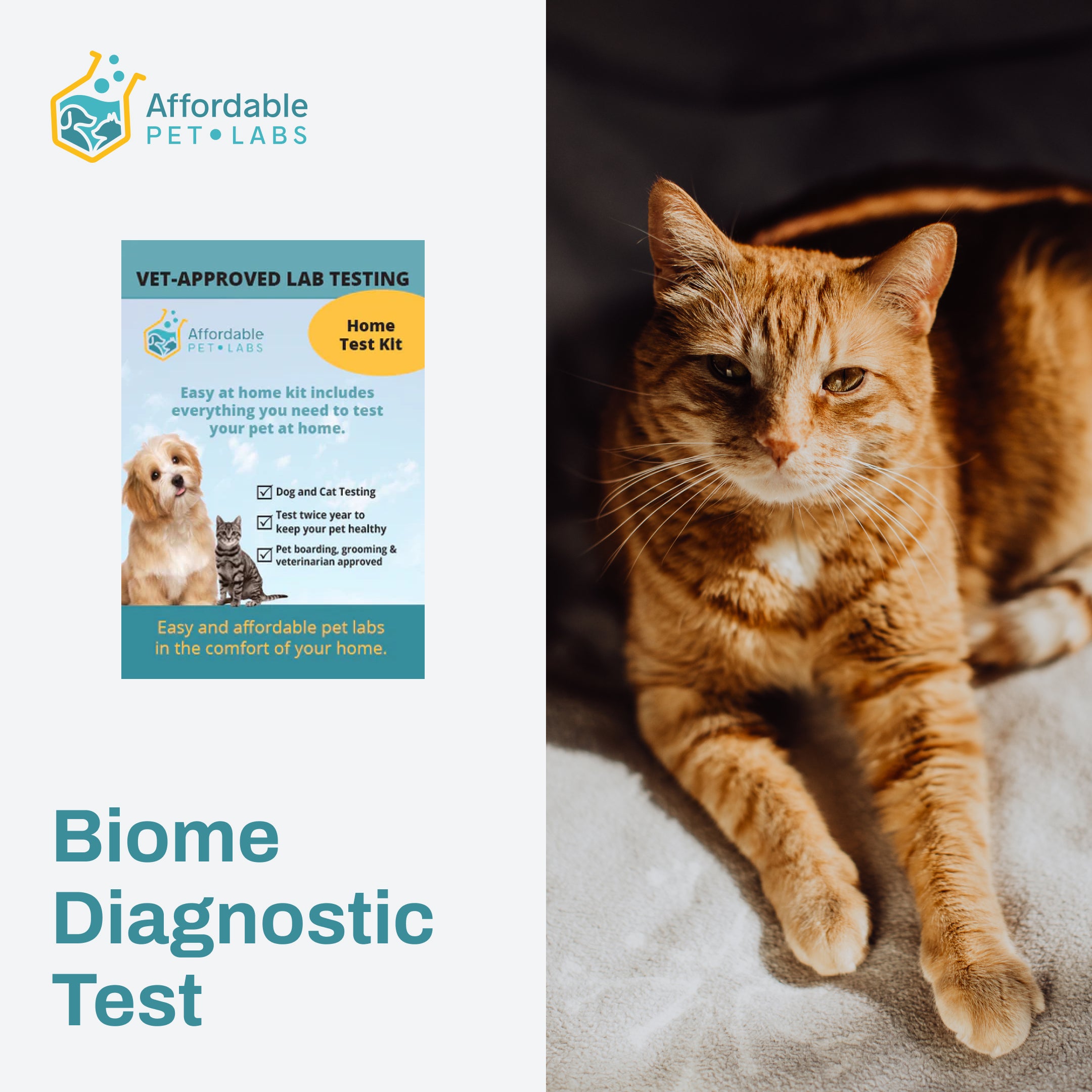 Biome Diagnostic Test for Cats