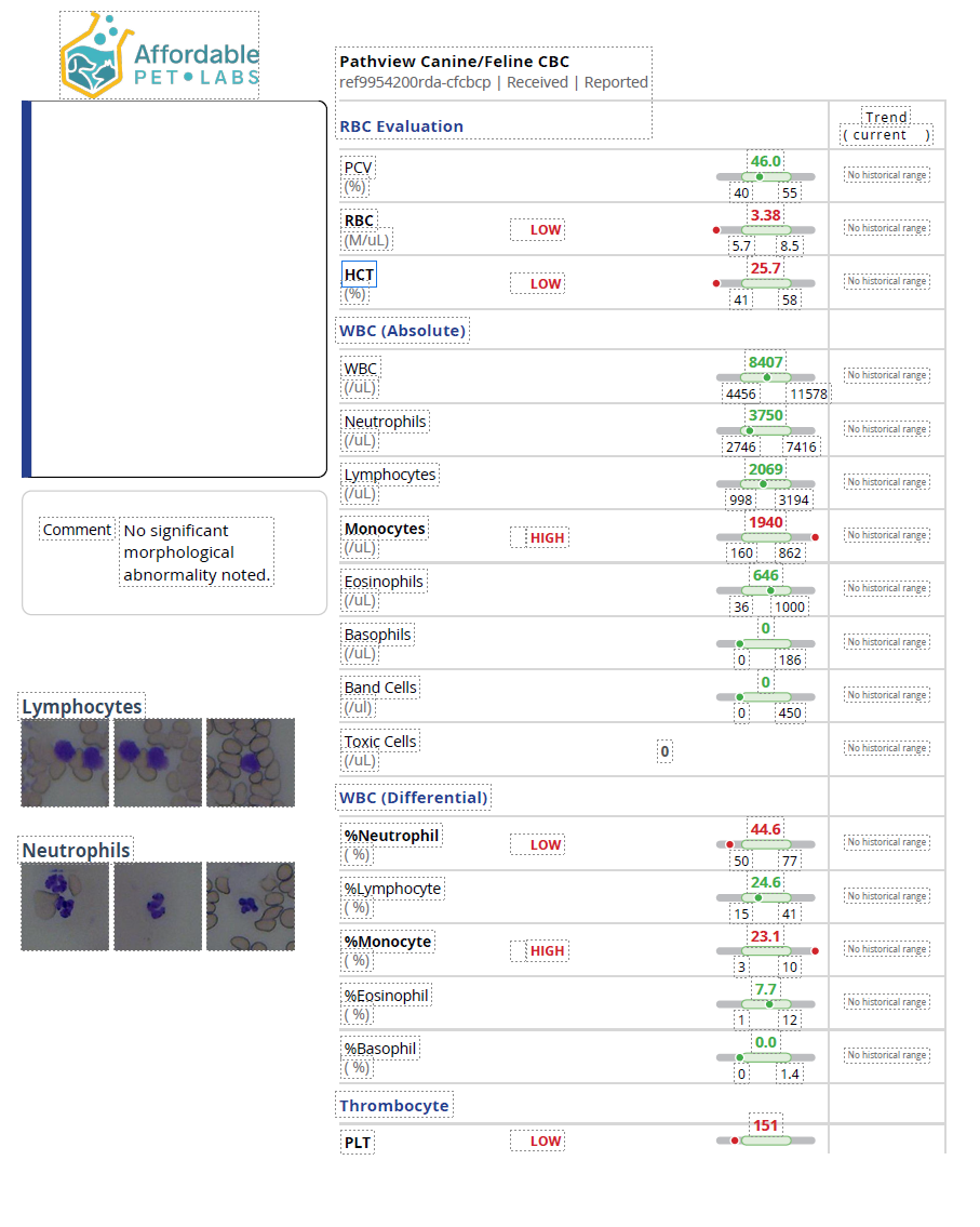 CBC and chemistry testing information from Affordable Pet Labs