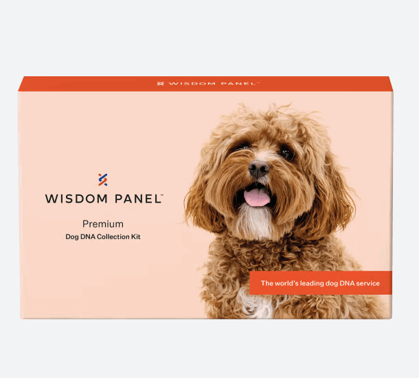 Easy Home Kit: Affordable Pet Labs & Wisdom Panel Genetic Diagnostic Test For Puppies