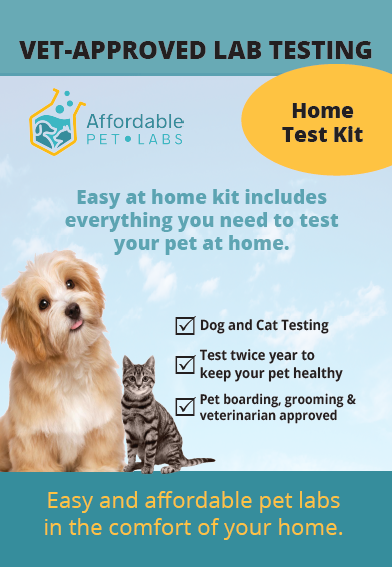 Easy Home Kit Affordable Pet Labs Skin Culture Test (Dogs)