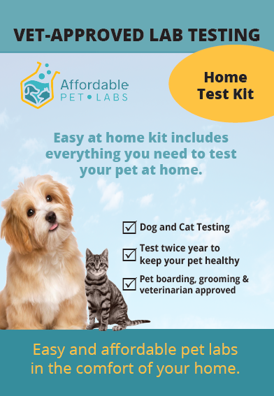Easy Home Kit: Affordable Pet Labs Farm Animal Fecal Parasite Plus Giardia Diagnostic Test