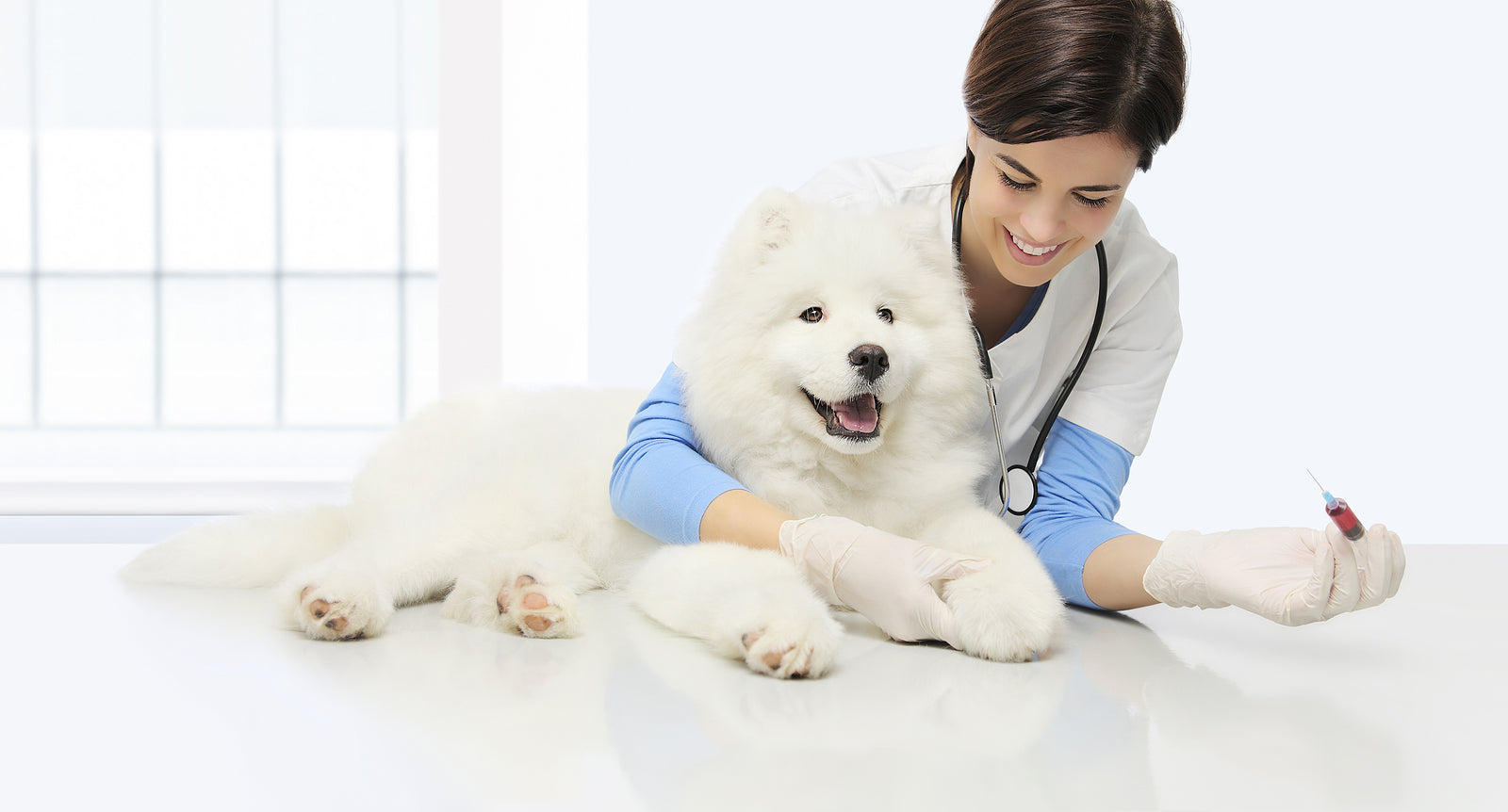Convenient In-Home Pet Diagnostic Testing for Optimal Health & Wellness