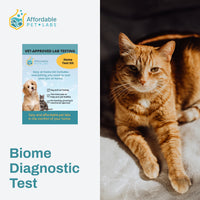 Easy Home Kit: Affordable Pet Labs Biome Diagnostic Test for Cats