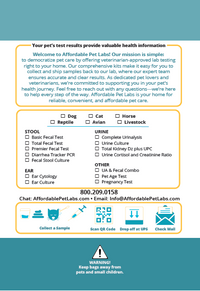 Easy Home Kit: Affordable Pet Labs Complete Urinalysis with Microscopic Evaluation For A Cat