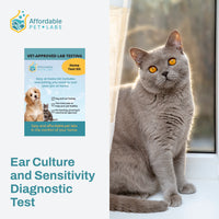 Easy Home Kit: Ear Culture and Sensitivity Test Diagnostic Test For Cat