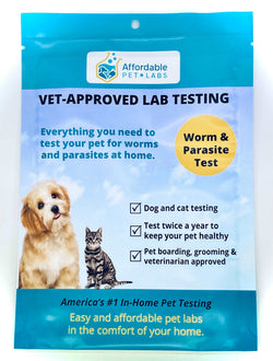 Easy Home Kit: Premier Fecal Diagnostic Test For Dogs