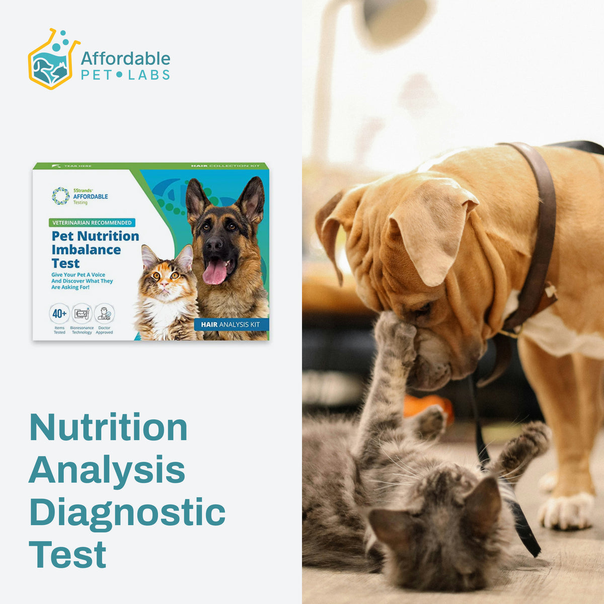 Pet Test Kit Easy Home Kit: Affordable Pet Labs Pet Nutrition Analysis Diagnostic T
