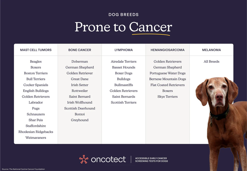 Self Collect: Dog Cancer Screening Test