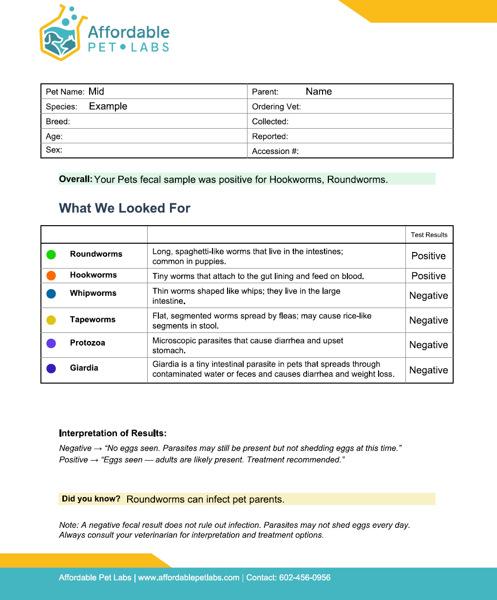 Easy Home Kit: Affordable Pet Labs Combo Complete Urinalysis & Fecal Test For Cats