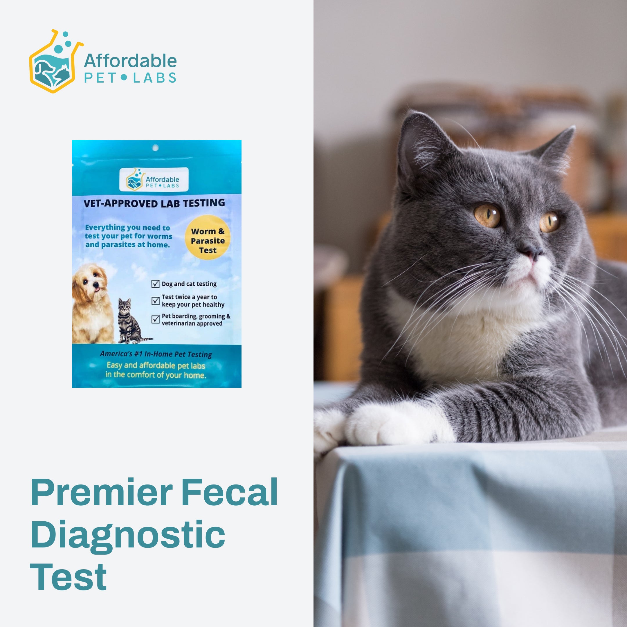 Easy Home Kit: Affordable Pet labs Premier Fecal Diagnostic Test For Cats