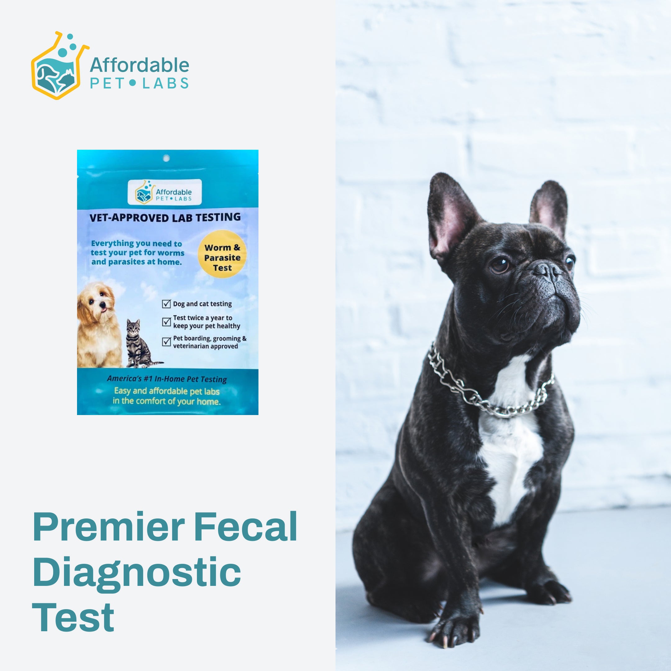 Easy Home Kit: Premier Fecal Diagnostic Test For Dogs