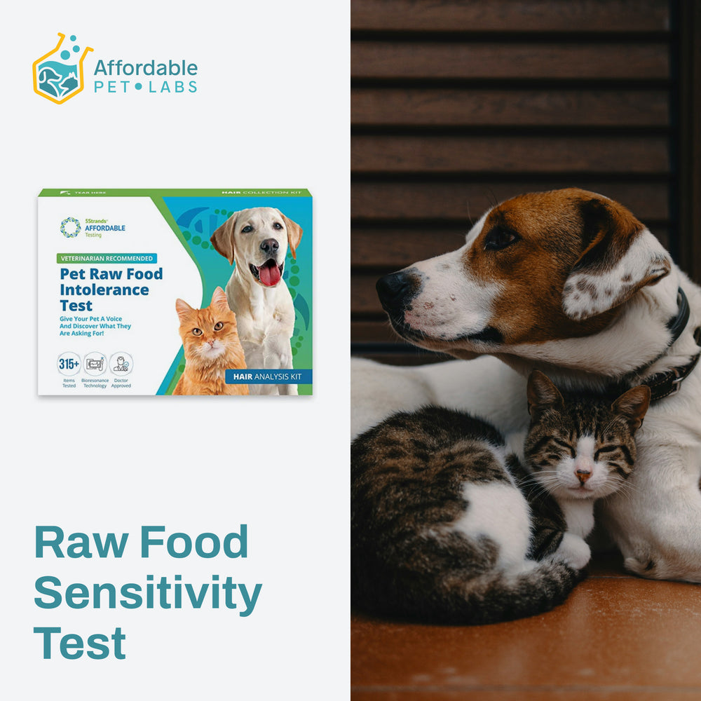 Easy Home Kit: Affordable Pet Labs DIY Raw Food Sensitivity Test 🐶🐱🌱 - Discover Your Pet's Diet Needs