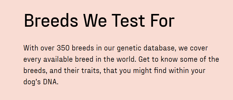 Premium Breed ID DNA Test for Dogs