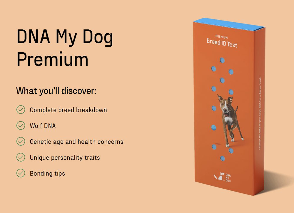 Premium Breed ID DNA Test for Dogs