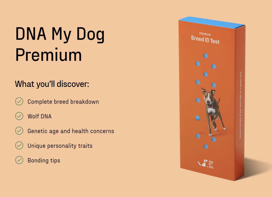 Premium Breed ID DNA Test for Dogs