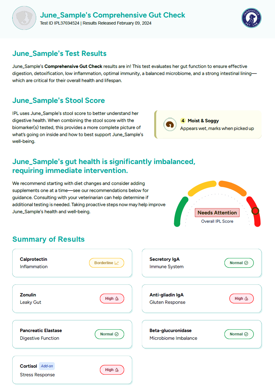 Easy Home Kit: Comprehensive Gut Health Review Test For Dogs