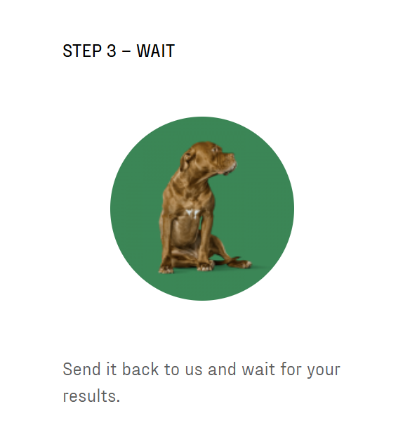 Essential Breed ID Test for Dogs