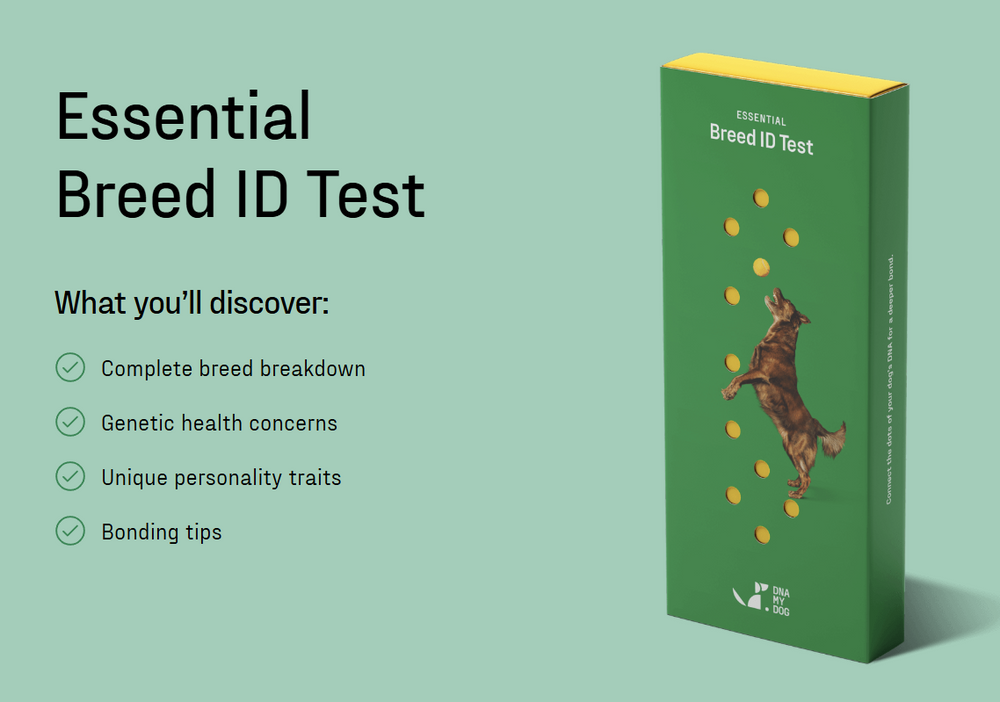 Essential Breed ID Test for Dogs