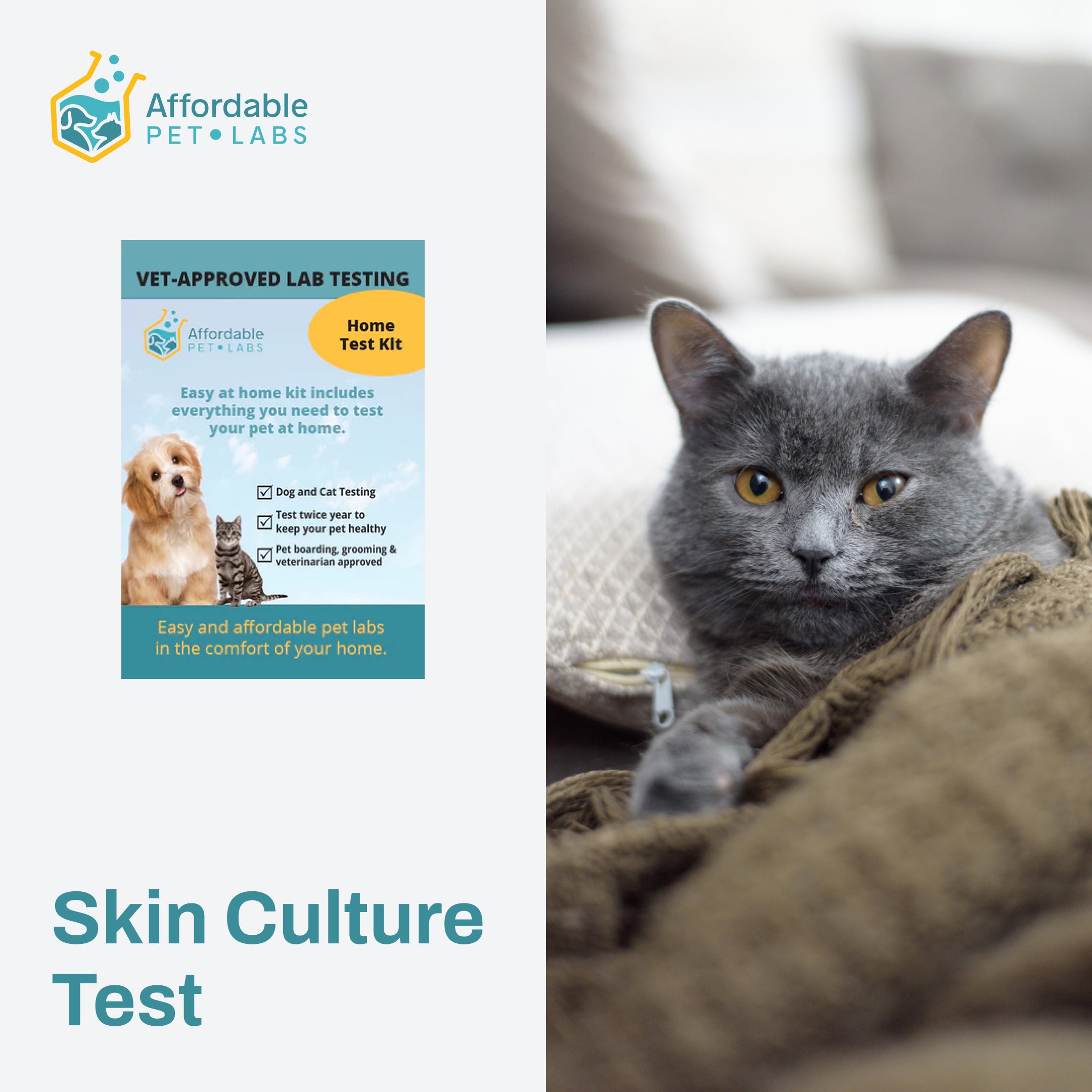 Easy Home Kit Affordable Pet Labs Skin Culture Test (Cats)