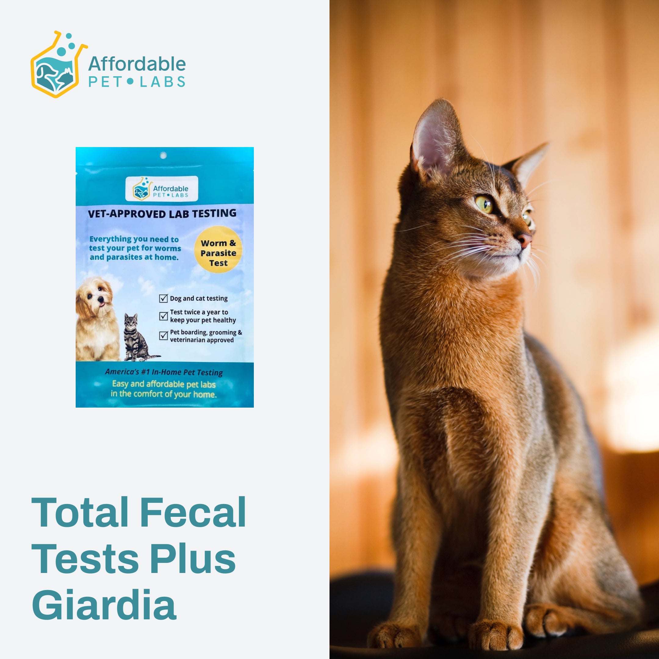 Easy Home Kit Affordable Pet Labs Total Fecal Tests Plus Giardia For Cats