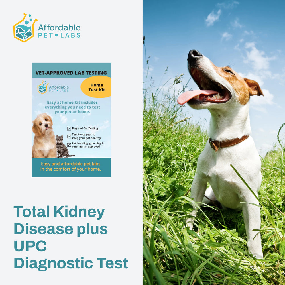 Easy Home Kit: Affordable Pet Labs Total Kidney Disease plus UPC Diagnostic Test For Dogs