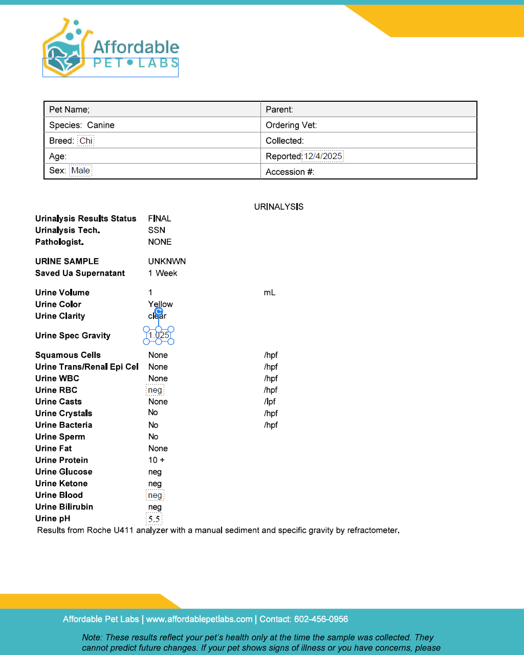 Easy Home Kit: Affordable Pet Labs Combo Complete Urinalysis & Fecal Test For Cats