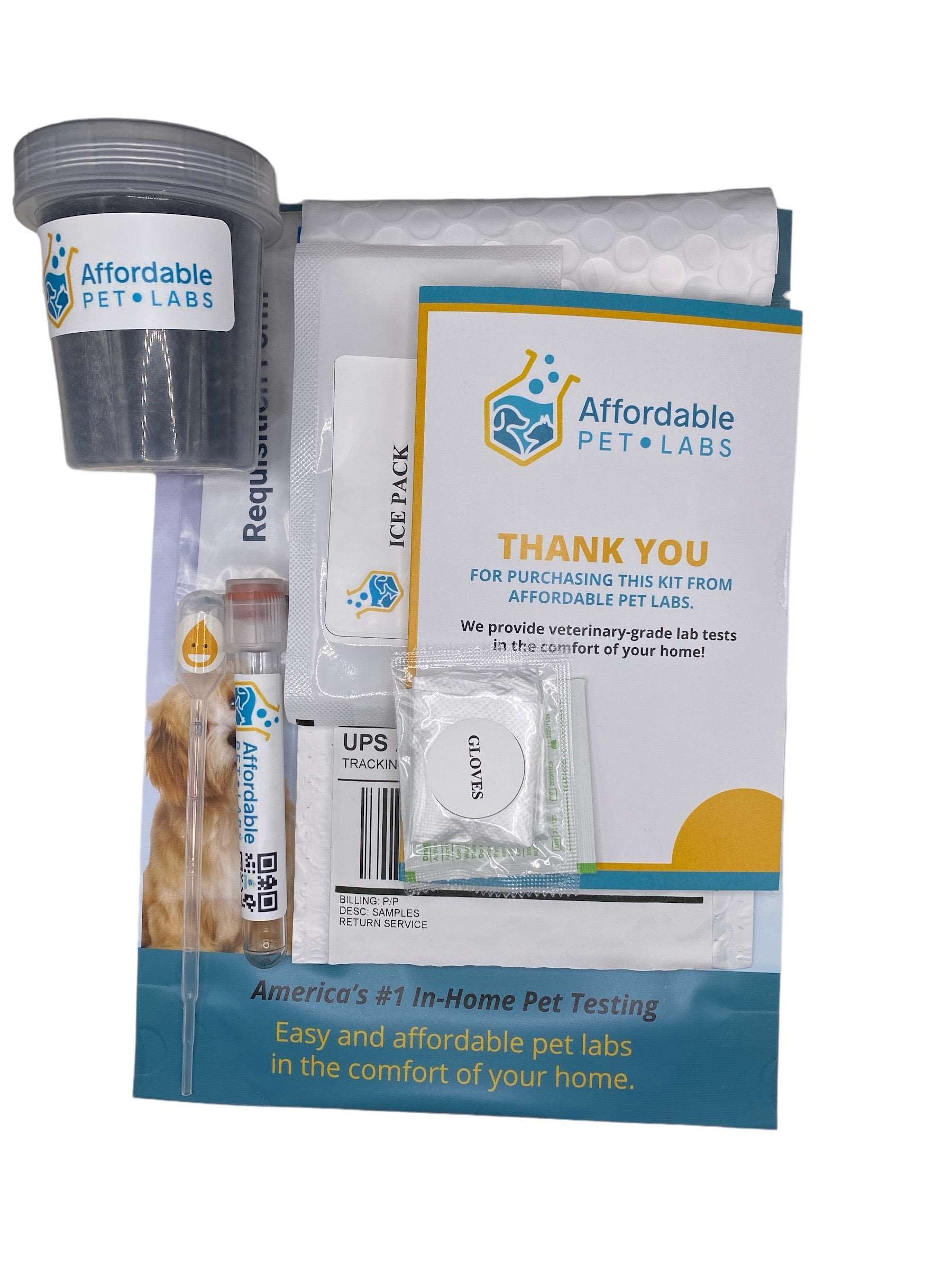 Easy Home Kit: Affordable Pet Labs Combo Complete Urinalysis & Fecal Test For Cats