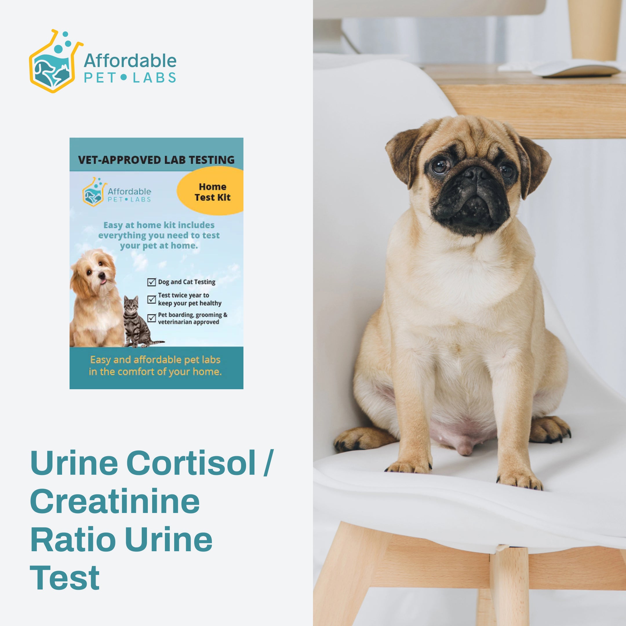 Easy Home Kit: Affordable Pet Labs Urine Cortisol / Creatinine Ratio Urine Test For Dogs