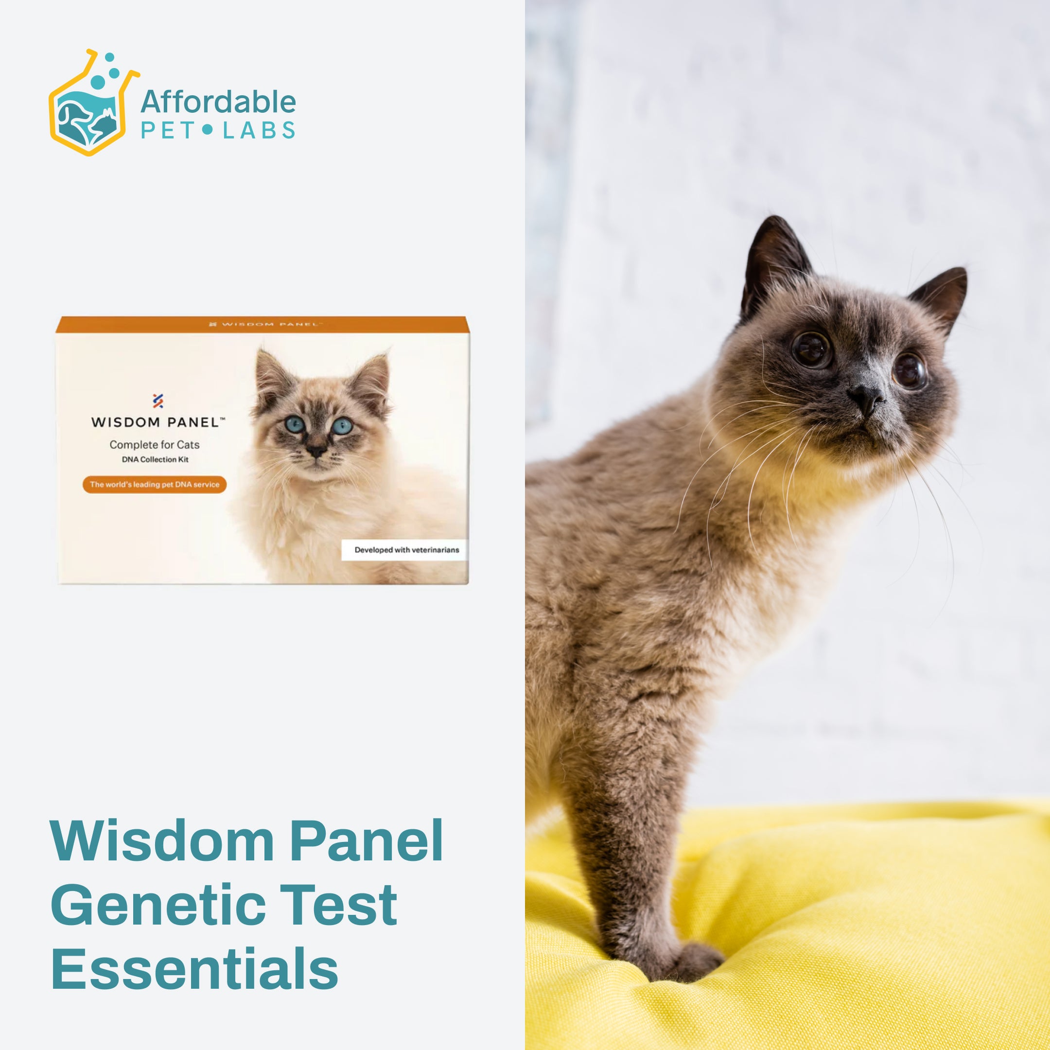 Easy Home Kit: Affordable Pet Labs Wisdom Genetic Panel™ Complete for Cats