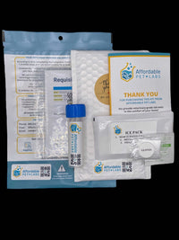 Easy Home Kit: Affordable Pet Labs Basic Fecal Diagnostic Test For Dogs